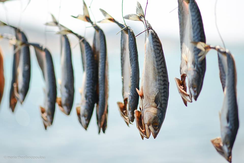 Paros Greece Gouna mackerel dried in the sun